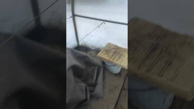 Укрываем виноград на зиму смотреть онлайн