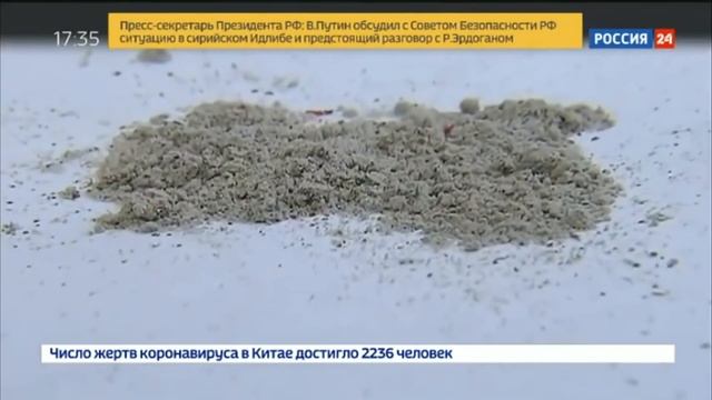 ОНА ВАМ НЕ ГЕНСУХА|РАЗОБЛАЧЕНИЕ GENSYXA