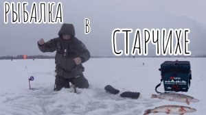 СТАРЧИХА.Предновогодняя рыбалка на жерлицы.
