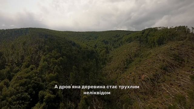 Закон про ОВД і українські ліси 🥺 смотреть онлайн