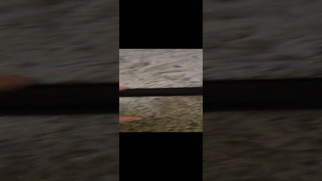 исчезновение Нет там на балко не были покупали в тот квартиру когда Серёж там сидел смотреть онлайн