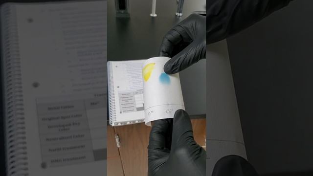 Experiment 14-"Who's the Fastest Transition Metal?" смотреть онлайн