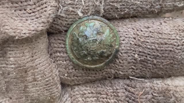 ЭТОТ ЛЕС НЕ ПЕРЕСТАЕТ МЕНЯ УДИВЛЯТЬ! смотреть онлайн