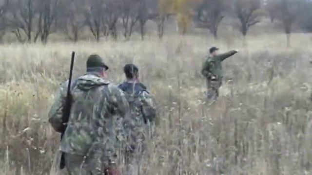 Охота на фазана в Украине