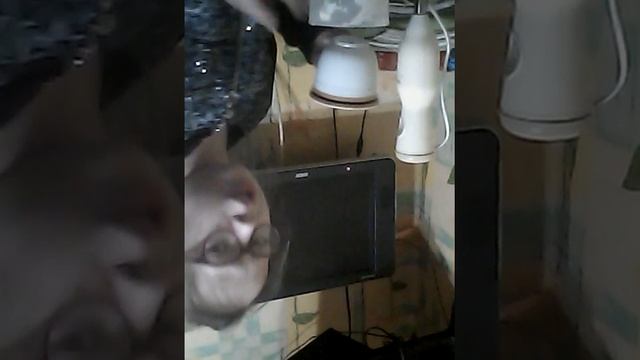 Творожный десерт со вкусом клубники и банана смотреть онлайн