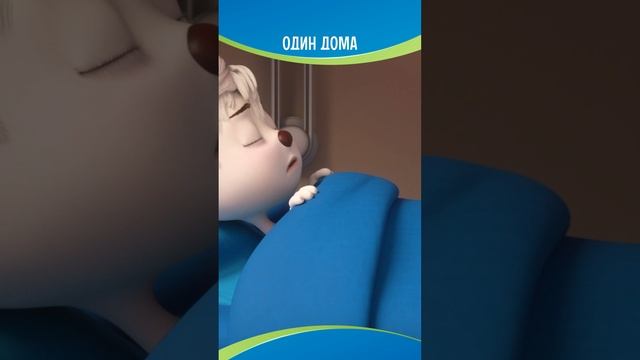 Признавайтесь, делали так когда-нибудь?😏
#мусячукистанислав смотреть онлайн