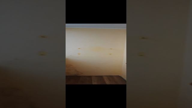 1000011855.mp4 смотреть онлайн