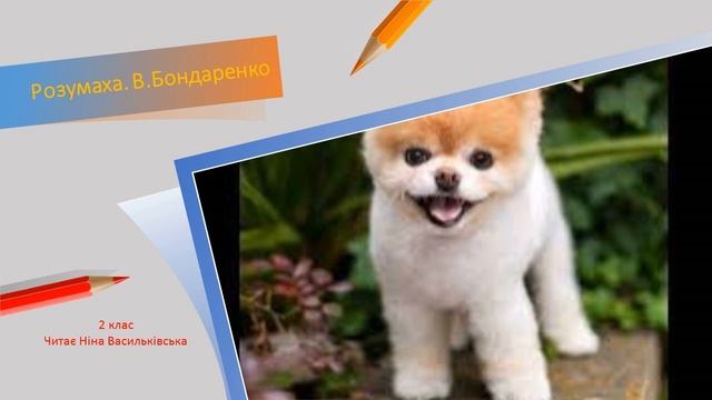 Розумаха. О. Бондаренко смотреть онлайн