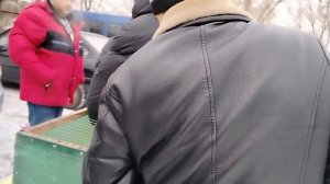 Ярмарка голубей г.Узловая 04.01.25.