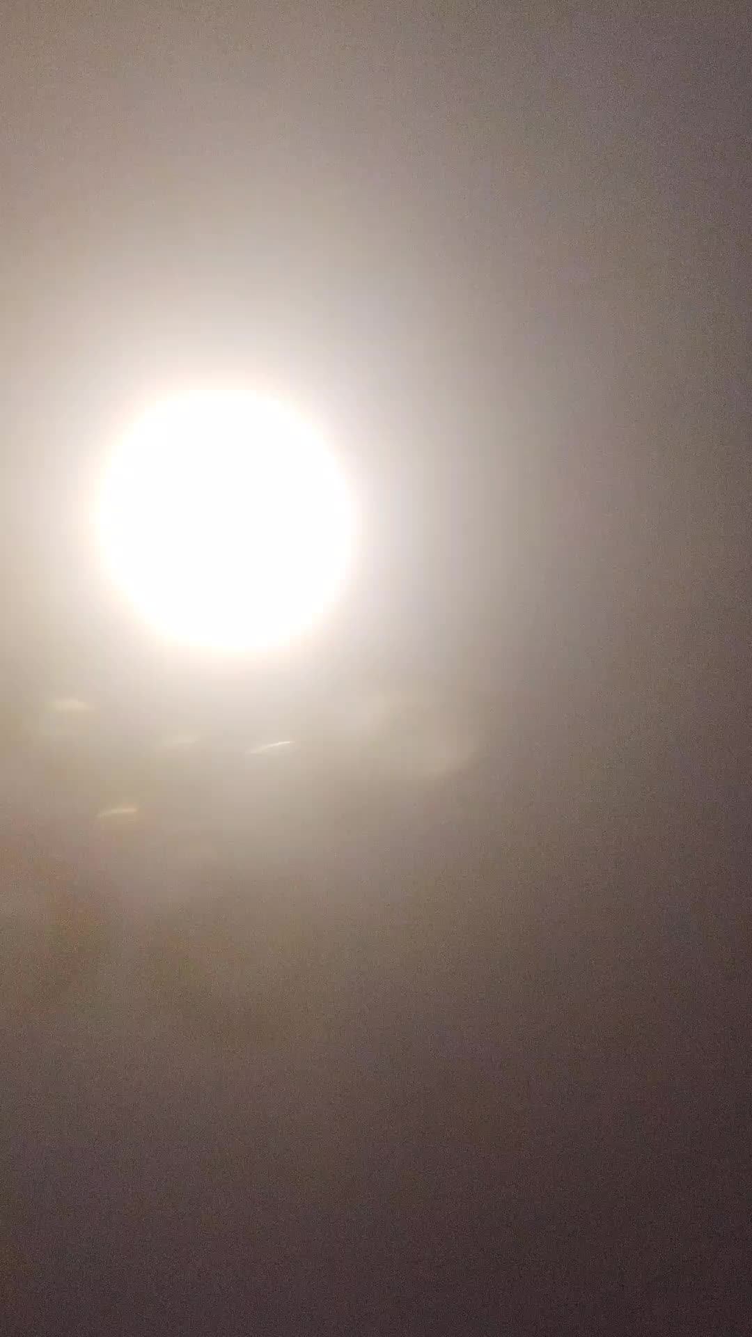 Костя Ващенко