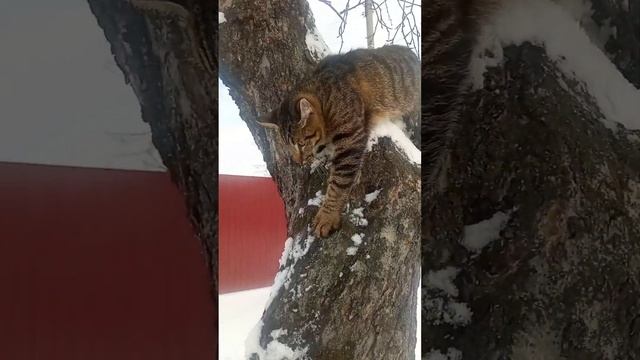 19 февраля 2023 г. смотреть онлайн