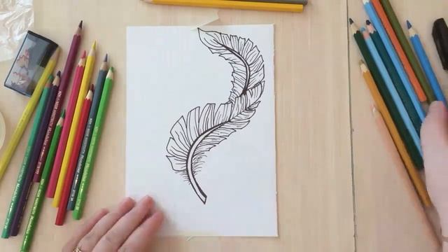 Как нарисовать ПЕРО. Урок рисования. Простой рисунок | Рисуем вместе смотреть онлайн