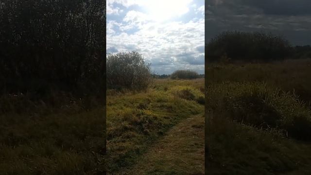 красота смотреть онлайн