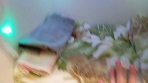 Первое видео. Обзор на комнату для Реборна.