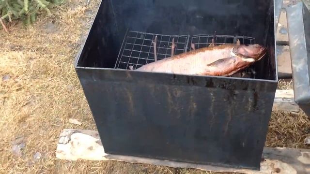 Копчение рыбы/ Жжем лапник смотреть онлайн