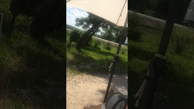 Дед-барыга продаёт Чизкейк смотреть онлайн