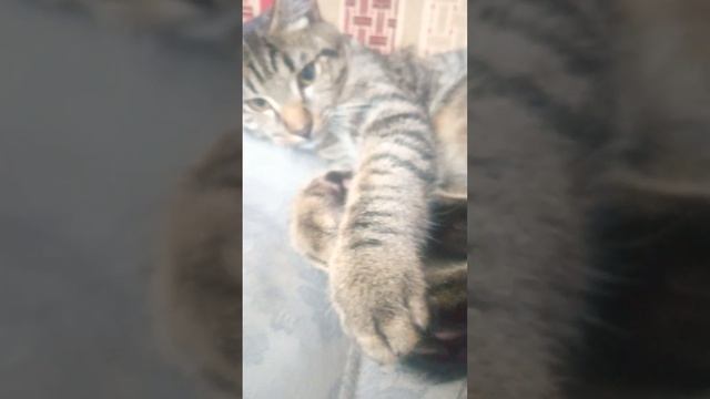 3 февраля 2023 г. смотреть онлайн