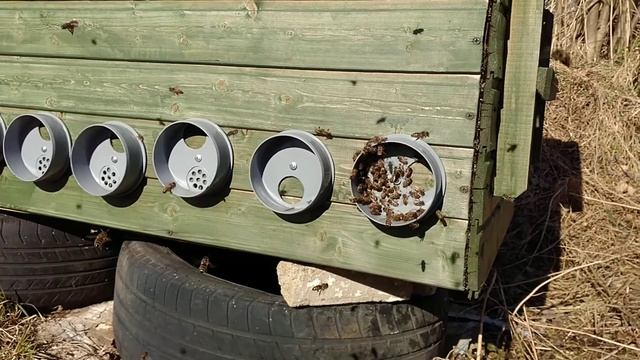 Первый день облёта в Ярославской области смотреть онлайн