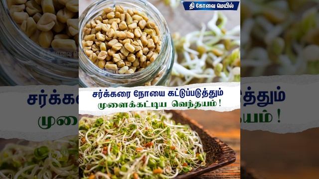 சர்க்கரை நோயை கட்டுப்படுத்தும் முளைக்கட்டிய வெந்தயம்! #fenugreek #seed #health #healthnews #diabete смотреть онлайн
