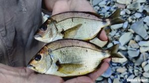 Черное море рыбалка