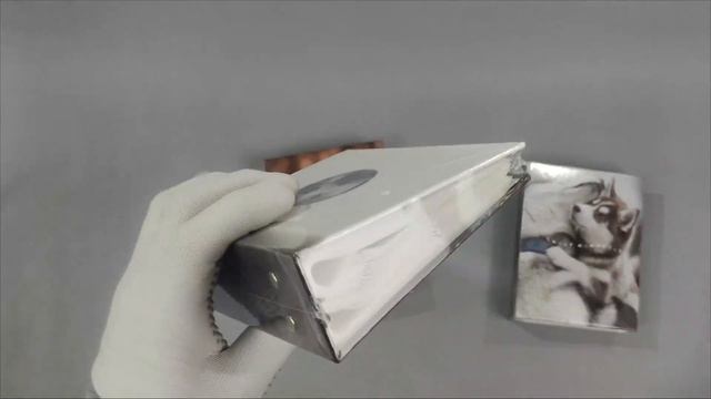 Фотоальбом 100 фото 10х15 Собаки-4 Platinum 13715 смотреть онлайн