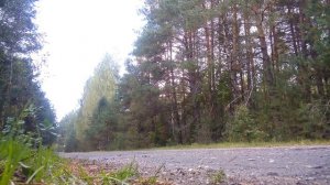 Изумительный звук выхлопа  Honda CB 400 Super Four (1995 г.в.)