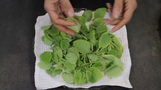 How to make Chilli Flakes and Oregano at HOME смотреть онлайн