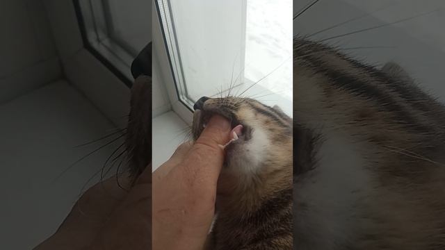 9 февраля 2023 г. смотреть онлайн