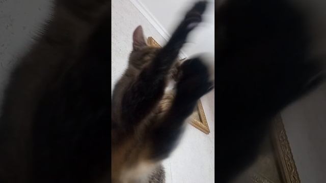 10 февраля 2023 г. смотреть онлайн