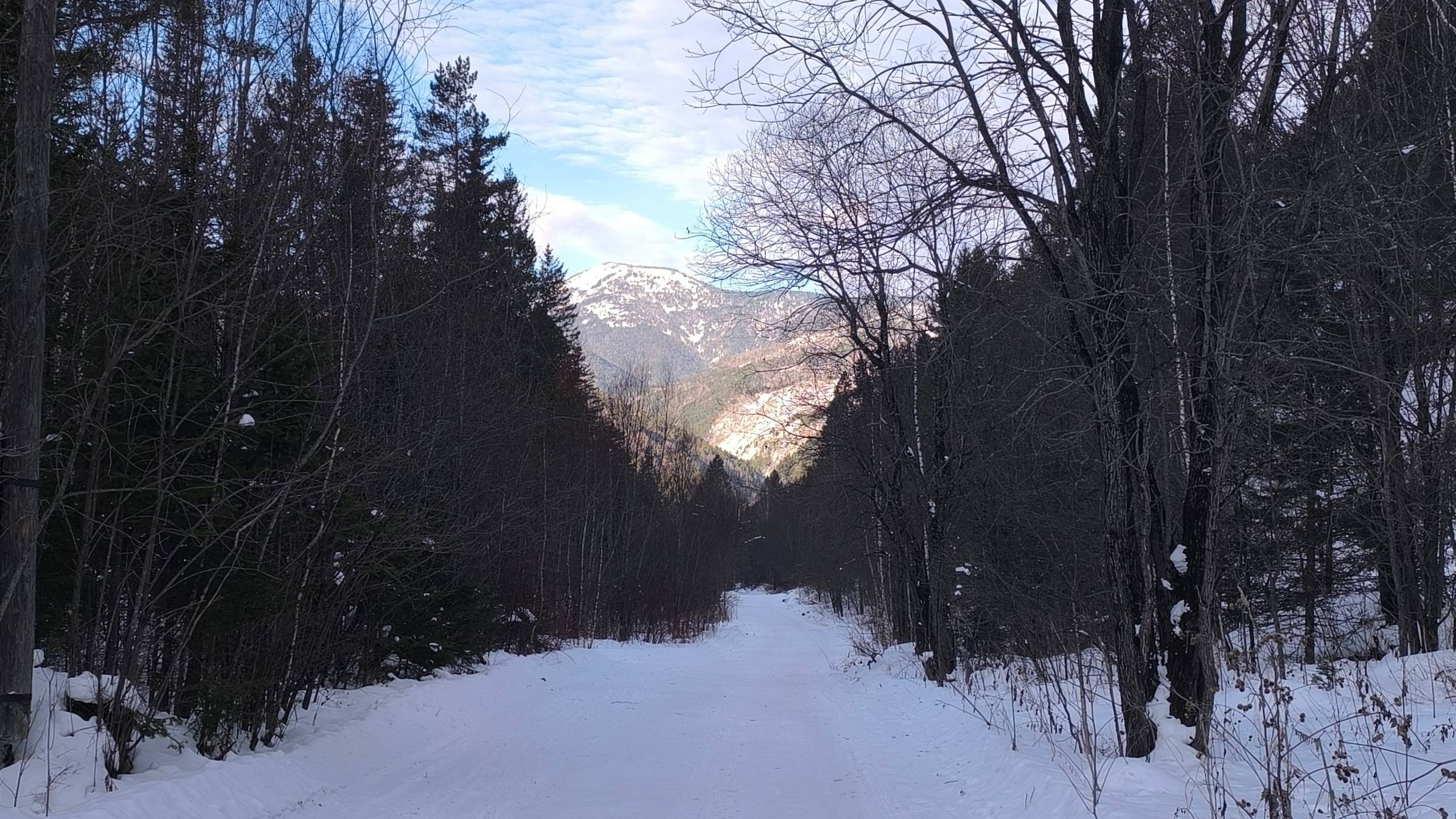 борус 2025.movie