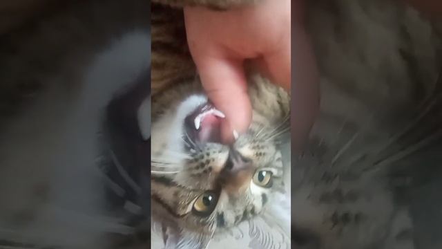 вкусьненько смотреть онлайн