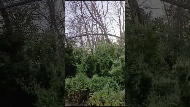 1000058975.mp4 смотреть онлайн