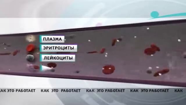 Чудеса науки (59 выпуск) смотреть онлайн