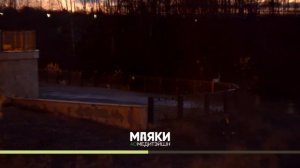 Сам себе плацебо. 1, 2 и 3 этап.Джо Диспенза. Медитация