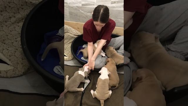 4 марта 2023 г.