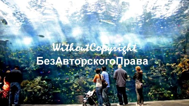 Klas Mizik san yo pa copyright Janji Shadows смотреть онлайн