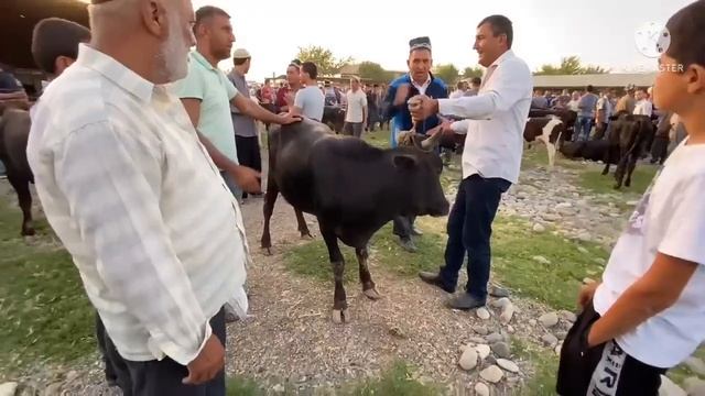 БОЗОРИ ЧИЛСОЛАГИ НАРХИ ЧАВ ГАНДУМ АРПА БУГДОЙ БУКА ГНОЖИН НАРХИ АРЗОН 23 июля 2022 г. смотреть онлайн