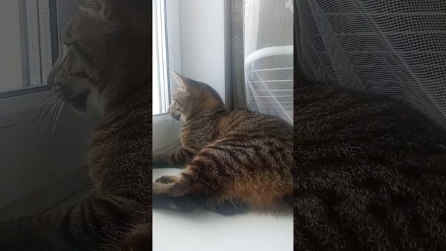 опяять смотреть онлайн