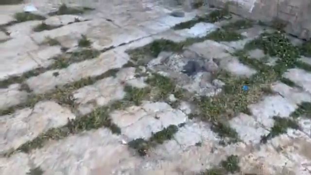NOS CUENTAN LO POCO QUE QUEDA EN LA HACIENDA DE SANTA ROSA 😉🤔💯🇲🇽👌 смотреть онлайн