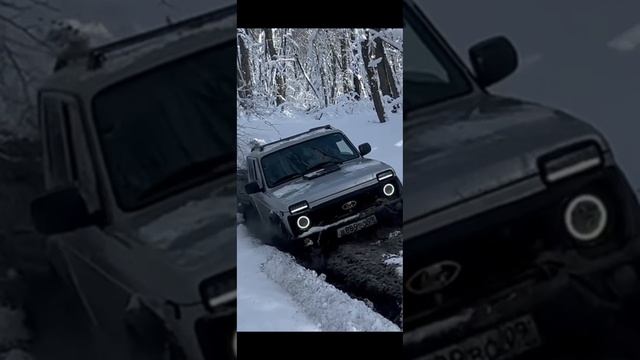 Нива смотреть онлайн