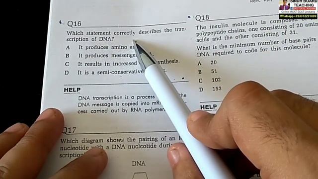 MCQs Discussion of Redspot A-Level Biology Chromosomes and DNA Lecture 2 смотреть онлайн