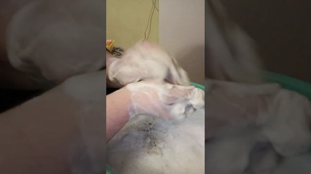 🌛Ночные🌛🧼мыльные🧼поболтушки с Нюрашей😉💜💐 смотреть онлайн