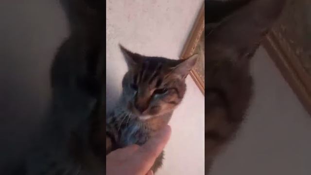 2 мая 2023 г. смотреть онлайн