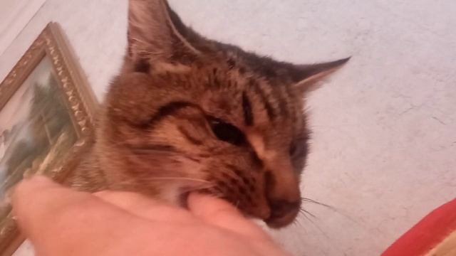 12 мая 2023 г. смотреть онлайн