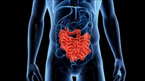 МОЩНОЕ ИСЦЕЛЕНИЕ ТОНКОГО КИШЕЧНИКА*ИСЦЕЛЕНИЕ ЗВУКОМ