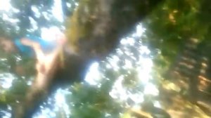 Девочка на дереве 18+