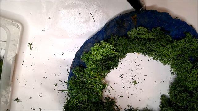 Jak zrobić wiosenny wianek na drzwi [SPRING WREATH FOR DOORS] - Pomysły plastyczne dla każdego смотреть онлайн