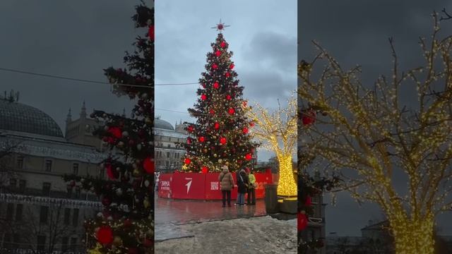 Зима в Москве, елки Москвы #россия #москва #новыйгод #зимавмоскве #рождество православноерождество смотреть онлайн