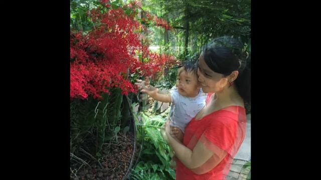 Anton @ 8 Months: Singapore Botanic Gardens смотреть онлайн