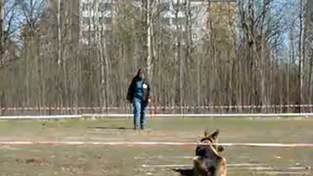 Зэра Комплекс 26 04 14 смотреть онлайн